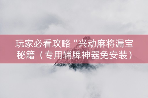 玩家必看攻略“兴动麻将漏宝秘籍（专用辅牌神器免安装）