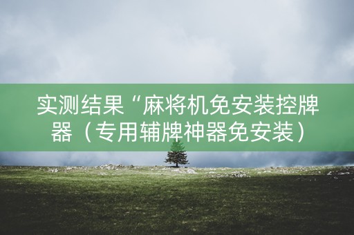 实测结果“麻将机免安装控牌器（专用辅牌神器免安装）