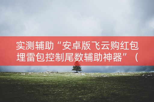 实测辅助“安卓版飞云购红包埋雷包控制尾数辅助神器”（详细透视教程）-哔哩哔哩