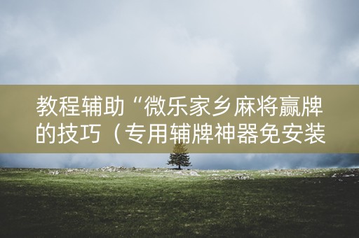 教程辅助“微乐家乡麻将赢牌的技巧（专用辅牌神器免安装）