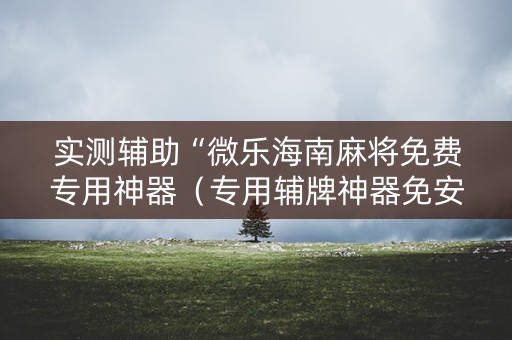 实测辅助“微乐海南麻将免费专用神器（专用辅牌神器免安装）