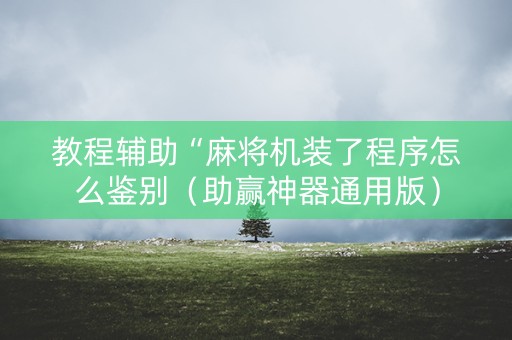 教程辅助“麻将机装了程序怎么鉴别（助赢神器通用版）