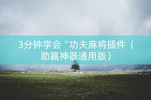 3分钟学会“功夫麻将插件（助赢神器通用版）