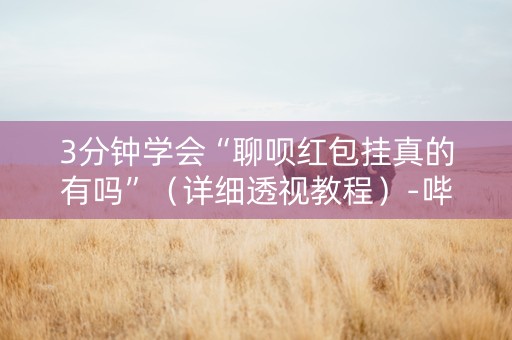 3分钟学会“聊呗红包挂真的有吗”（详细透视教程）-哔哩哔哩