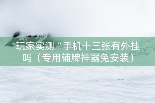 玩家实测“手机十三张有外挂吗（专用辅牌神器免安装）