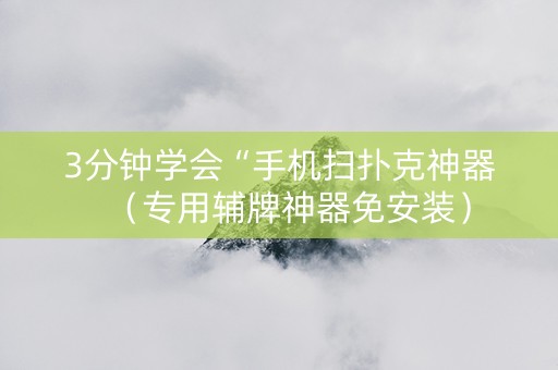 3分钟学会“手机扫扑克神器（专用辅牌神器免安装）