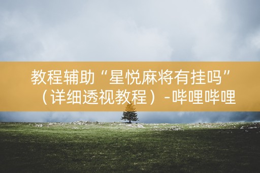 教程辅助“星悦麻将有挂吗”（详细透视教程）-哔哩哔哩