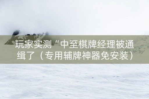 玩家实测“中至棋牌经理被通缉了（专用辅牌神器免安装）