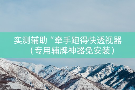 实测辅助“牵手跑得快透视器（专用辅牌神器免安装）