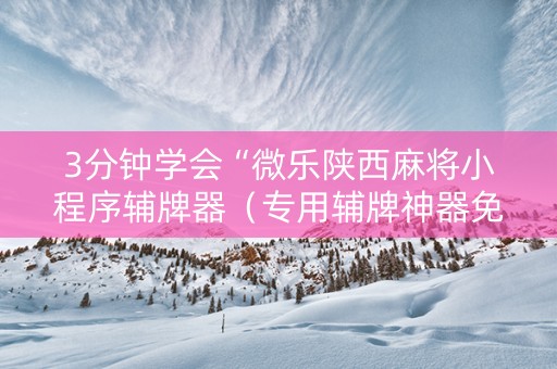 3分钟学会“微乐陕西麻将小程序辅牌器（专用辅牌神器免安装）
