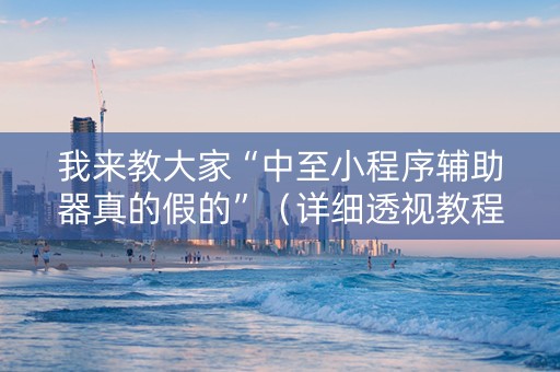 我来教大家“中至小程序辅助器真的假的”（详细透视教程）-哔哩哔哩