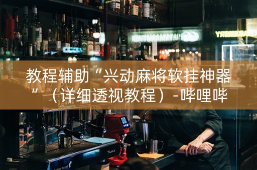 教程辅助“兴动麻将软挂神器”（详细透视教程）-哔哩哔哩