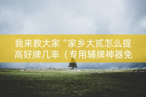 我来教大家“家乡大贰怎么提高好牌几率（专用辅牌神器免安装）