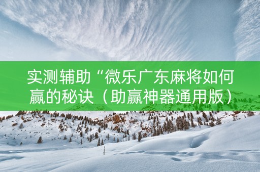 实测辅助“微乐广东麻将如何赢的秘诀（助赢神器通用版）