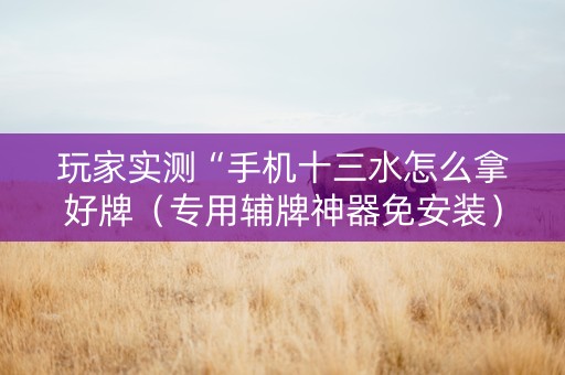 玩家实测“手机十三水怎么拿好牌（专用辅牌神器免安装）