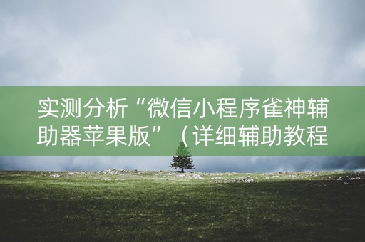 实测分析“微信小程序雀神辅助器苹果版”（详细辅助教程）-哔哩哔哩