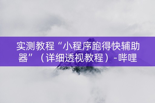 实测教程“小程序跑得快辅助器”（详细透视教程）-哔哩哔哩