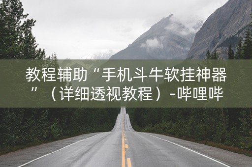 教程辅助“手机斗牛软挂神器”（详细透视教程）-哔哩哔哩