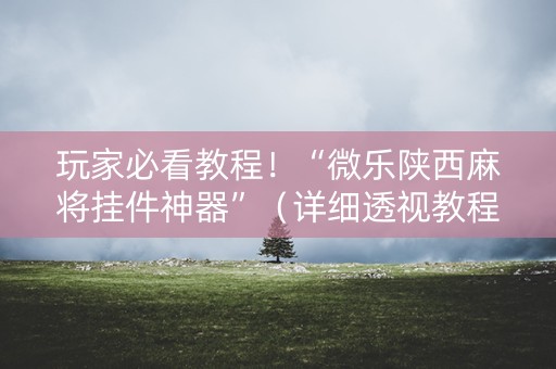 玩家必看教程！“微乐陕西麻将挂件神器”（详细透视教程）-哔哩哔哩