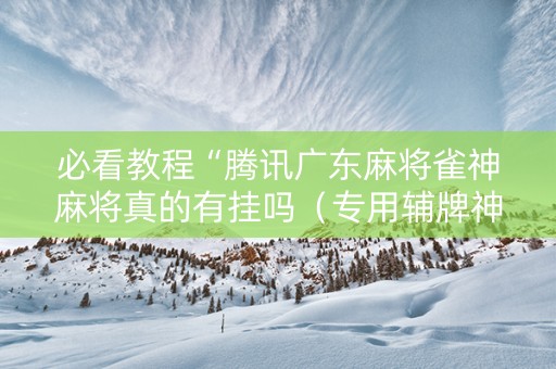 必看教程“腾讯广东麻将雀神麻将真的有挂吗（专用辅牌神器免安装）