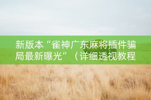 新版本“雀神广东麻将插件骗局最新曝光”（详细透视教程）-哔哩哔哩