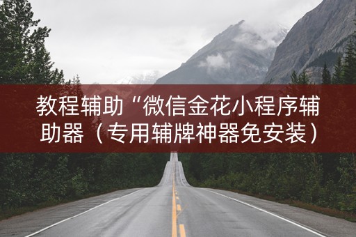 教程辅助“微信金花小程序辅助器（专用辅牌神器免安装）
