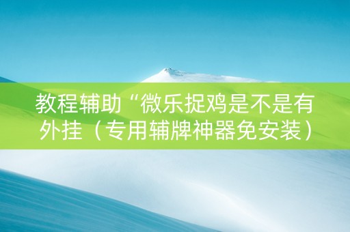 教程辅助“微乐捉鸡是不是有外挂（专用辅牌神器免安装）