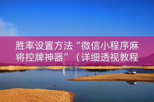 胜率设置方法“微信小程序麻将控牌神器”（详细透视教程）-哔哩哔哩