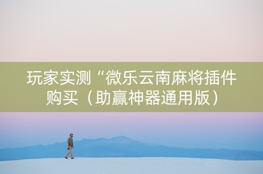 玩家实测“微乐云南麻将插件购买（助赢神器通用版）