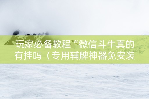 玩家必备教程“微信斗牛真的有挂吗（专用辅牌神器免安装）