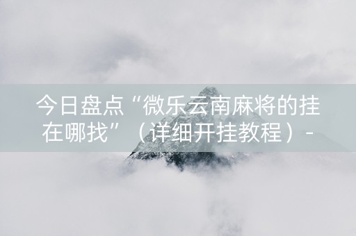 今日盘点“微乐云南麻将的挂在哪找”（详细开挂教程）-哔哩哔哩