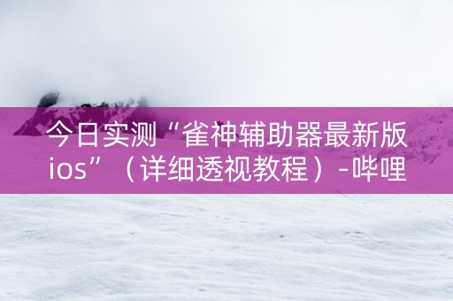 今日实测“雀神辅助器最新版ios”（详细透视教程）-哔哩哔哩