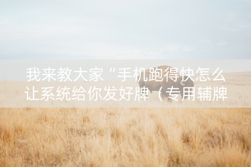 我来教大家“手机跑得快怎么让系统给你发好牌（专用辅牌神器免安装）