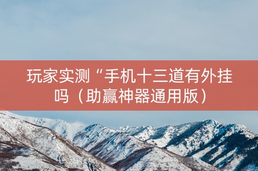 玩家实测“手机十三道有外挂吗（助赢神器通用版）