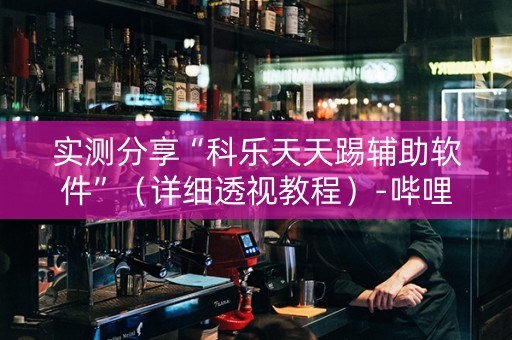 实测分享“科乐天天踢辅助软件”（详细透视教程）-哔哩哔哩
