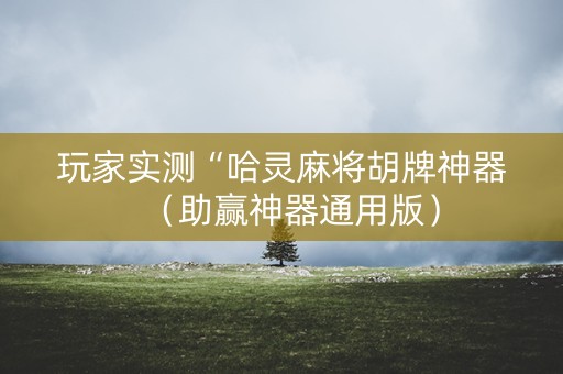 玩家实测“哈灵麻将胡牌神器（助赢神器通用版）