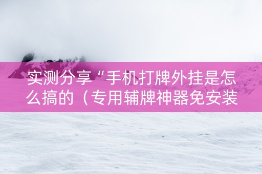 实测分享“手机打牌外挂是怎么搞的（专用辅牌神器免安装）