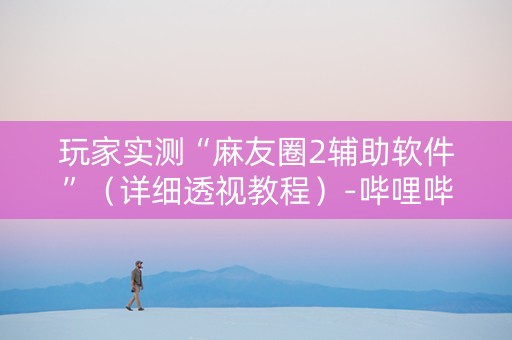 玩家实测“麻友圈2辅助软件”（详细透视教程）-哔哩哔哩