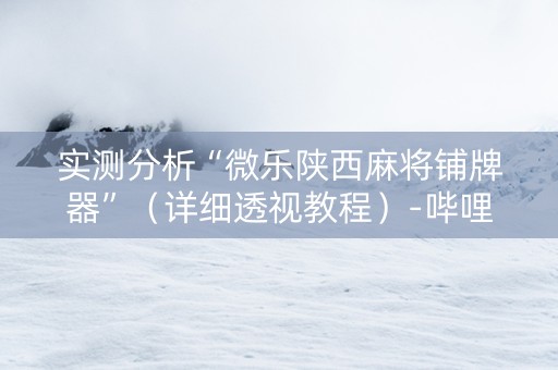 实测分析“微乐陕西麻将铺牌器”（详细透视教程）-哔哩哔哩