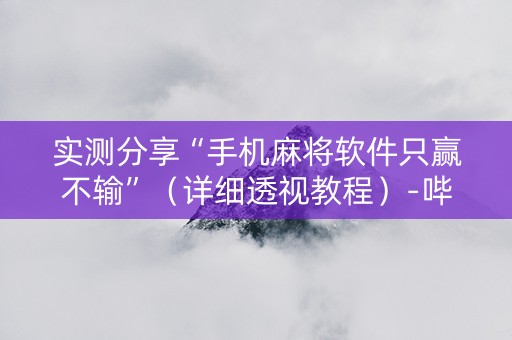 实测分享“手机麻将软件只赢不输”（详细透视教程）-哔哩哔哩