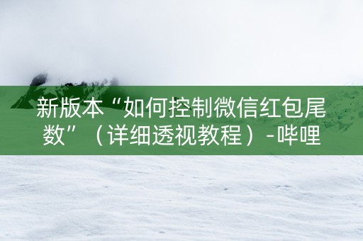 新版本“如何控制微信红包尾数”（详细透视教程）-哔哩哔哩