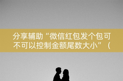 分享辅助“微信红包发个包可不可以控制金额尾数大小”（详细透视教程）-哔哩哔哩