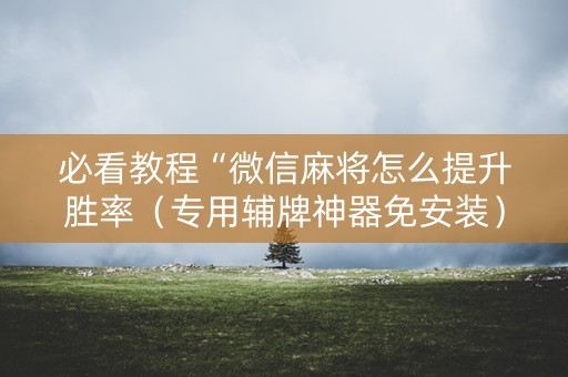 必看教程“微信麻将怎么提升胜率（专用辅牌神器免安装）