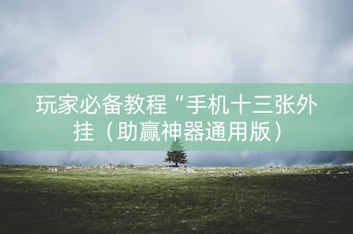 玩家必备教程“手机十三张外挂（助赢神器通用版）