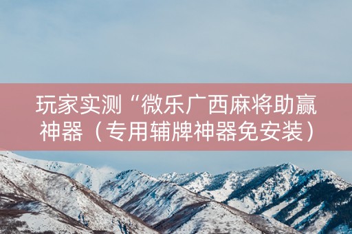 玩家实测“微乐广西麻将助赢神器（专用辅牌神器免安装）