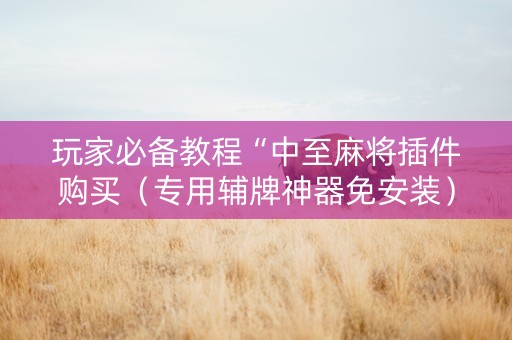 玩家必备教程“中至麻将插件购买（专用辅牌神器免安装）