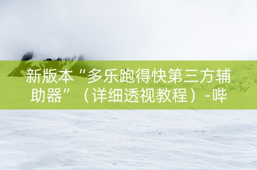 新版本“多乐跑得快第三方辅助器”（详细透视教程）-哔哩哔哩