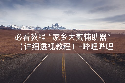必看教程“家乡大贰辅助器”（详细透视教程）-哔哩哔哩