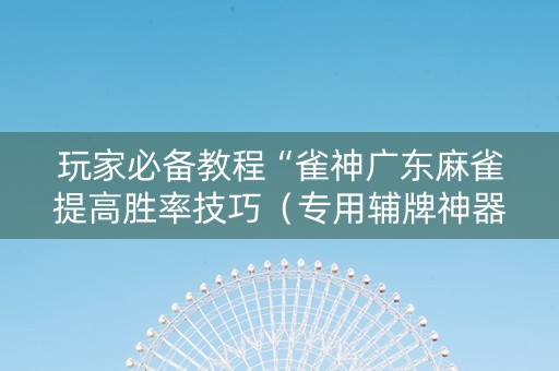 玩家必备教程“雀神广东麻雀提高胜率技巧（专用辅牌神器免安装）