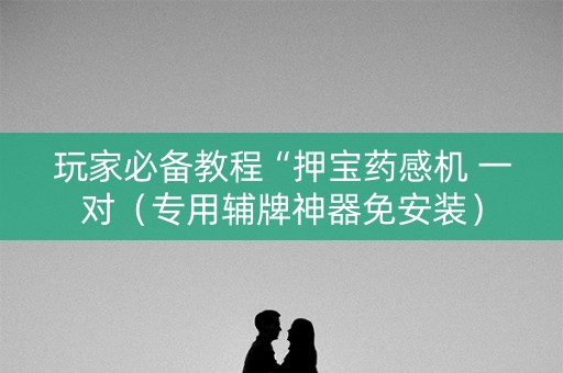 玩家必备教程“押宝药感机 一对（专用辅牌神器免安装）